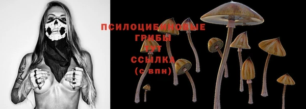 стафф Алексеевка