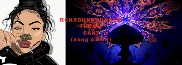 стафф Абаза