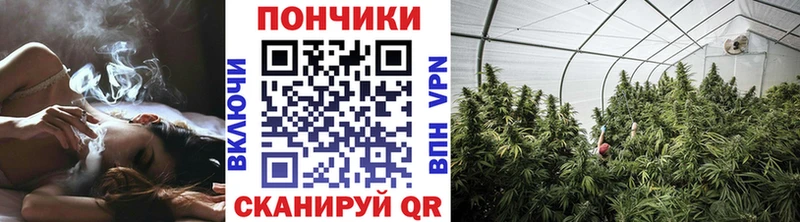 продажа наркотиков  гидра как зайти  Шишки марихуана VHQ  Задонск 